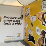 DECORAÇÃO DE STANDS